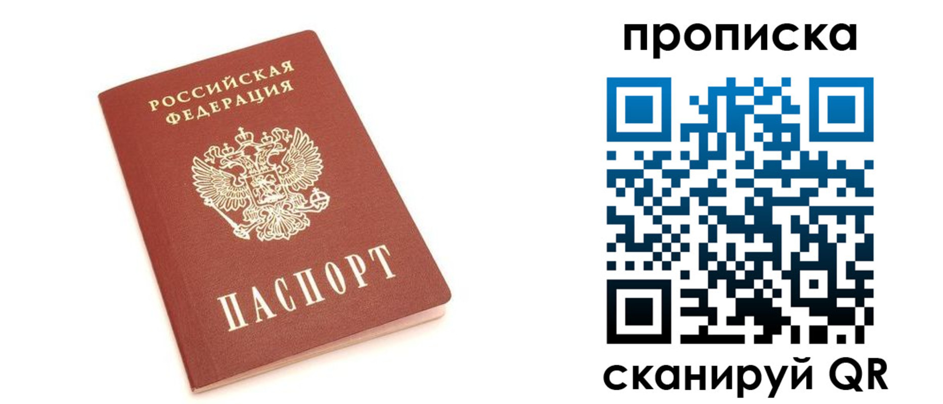прописка 2025 в Дмитрове